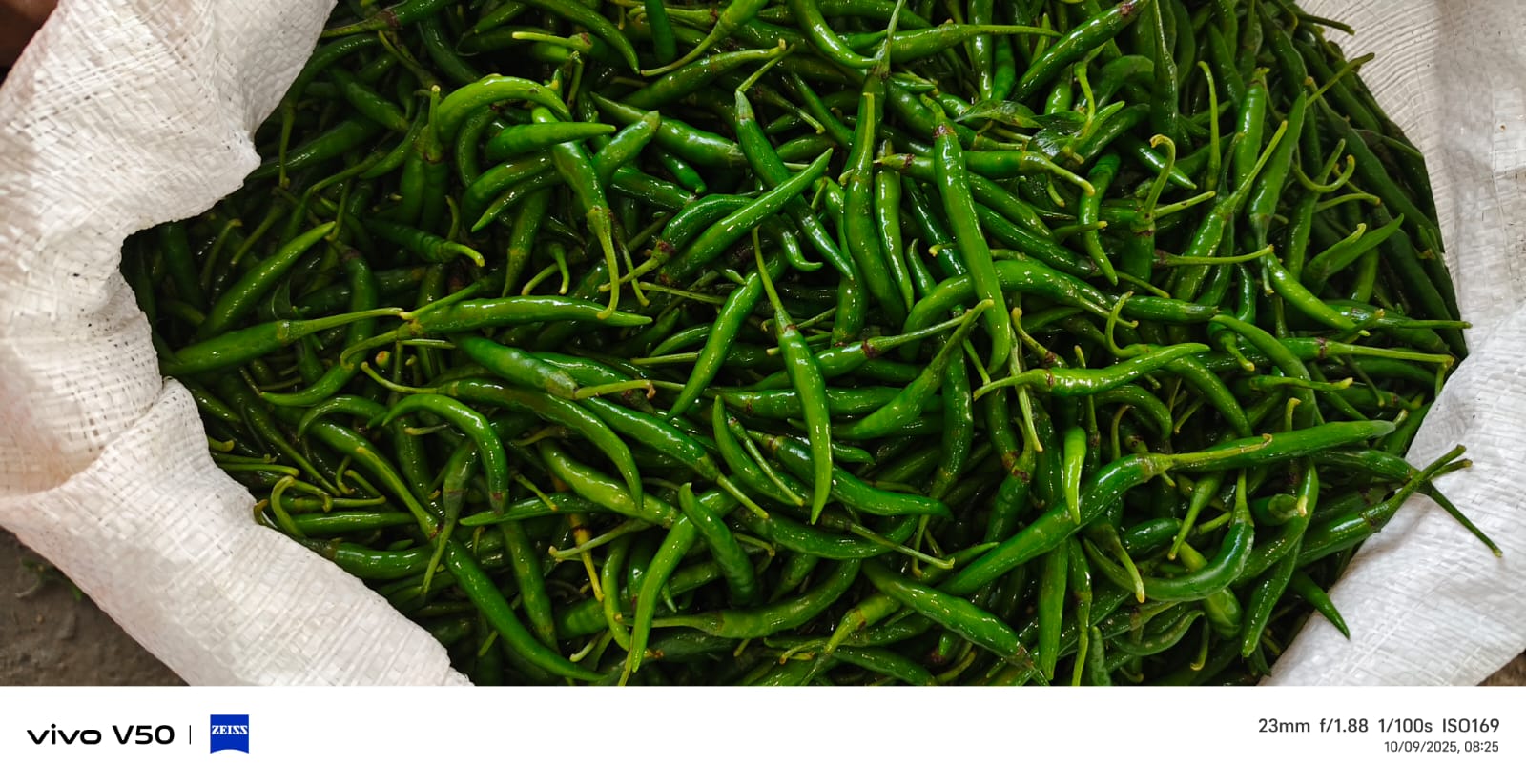 Fresh Green Chilli